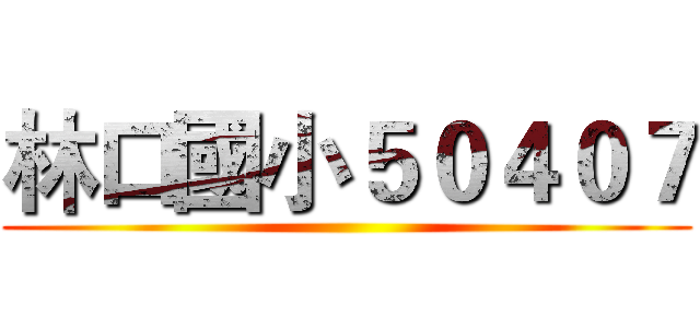 林口國小５０４０７ ()