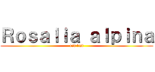 Ｒｏｓａｌｉａ ａｌｐｉｎａ (red list)