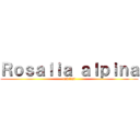 Ｒｏｓａｌｉａ ａｌｐｉｎａ (red list)