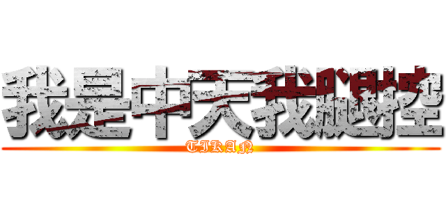 我是中天我腿控 (TIKAN)