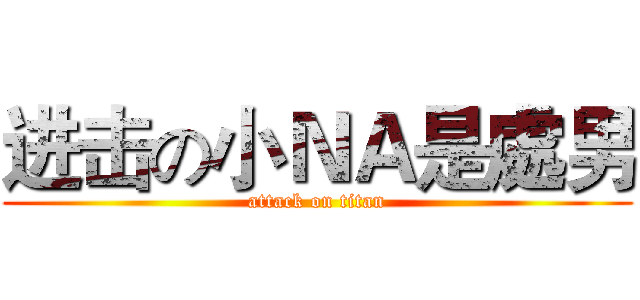 进击の小ＮＡ是處男 (attack on titan)
