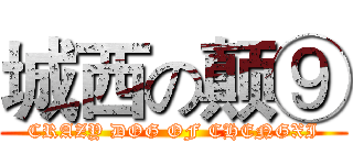 城西の颠⑨ (CRAZY DOG OF CHENGXI)