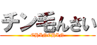 チン毛んさい (CHINCHIN)