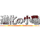 進化の小龜 (Evolution Of Tortoise)