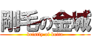 剛毛の金城 (bristly of keita)