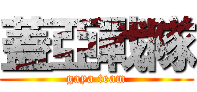 蓋亞戰隊 (gaya team)