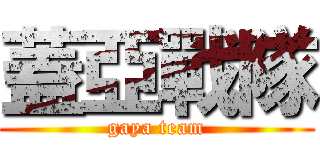 蓋亞戰隊 (gaya team)