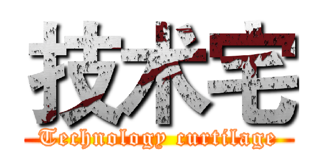 技术宅 (Technology curtilage)