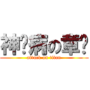 神经病の章鱼 (attack on titan)