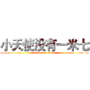 小天使没有一米七 (attack on titan)
