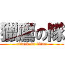 獵鷹の隊 (attack on titan)