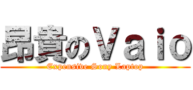 昂貴のＶａｉｏ (Expensive Sony Laptop)