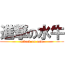 進撃の水牛 (attack on cow)