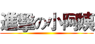 進擊の小阿姨 ()