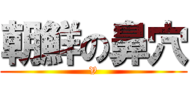 朝鮮の鼻穴 (V)