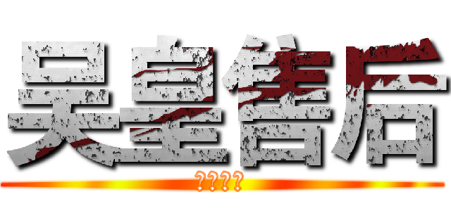 吴皇售后 (辅助专卖)