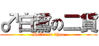 ♂白鷺の二貨 (BaiLu is 2huo)