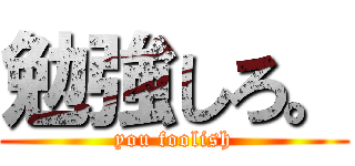勉強しろ。 (you foolish)