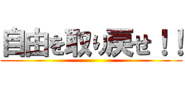 自由を取り戻せ！！ ()