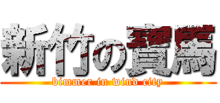 新竹の寶馬 (bimmer in wind city)