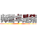 师雪卓是猪 (猪猪)