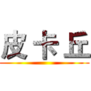 皮 卡 丘 ()