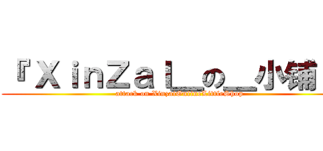 『 ＸｉｎＺａＩ＿の＿小铺 』 (attack on XinzaiOnlineLittleShop)