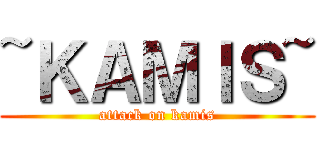 ~ＫＡＭＩＳ~ (attack on kamis)