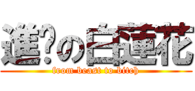 進擊の白蓮花 (from beast to bitch)