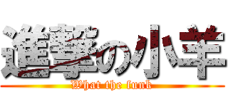 進撃の小羊 (What the funk)