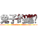 兔子的進擊 (attack on titan)