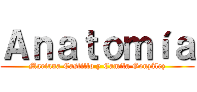 Ａｎａｔｏｍíａ (Mariana Castillo y Camila González)