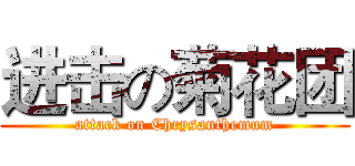 进击の菊花团 (attack on Chrysanthemum)