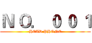 Ｎ Ｏ． ０ ０ １ (HEAD PHONE)