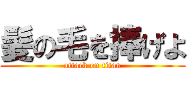 髪の毛を捧げよ (attack on titan)