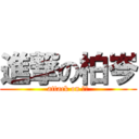 進撃の柏岑 (attack on 柏岑)