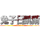 兔子日凱爾 (LOVE)