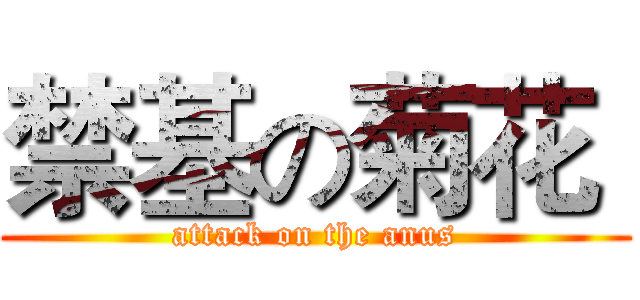 禁基の菊花  (attack on the anus)