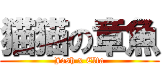 猫猫の章魚 (Josh x Elta)