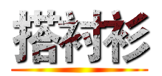 搭衬衫 ()