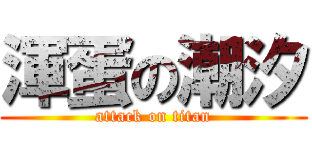渾蛋の潮汐 (attack on titan)