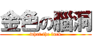 金色の腦洞 (what the fuck)