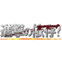 進撃の依存酱 (attack on yicun)