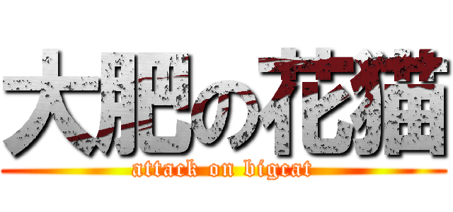 大肥の花猫 (attack on bigcat)