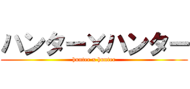 ハンター×ハンター (hunter x hunter)