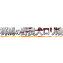 群馬の野良犬ロリ娘 (attack on titan)