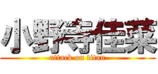 小野寺佳菜 (attack on titan)