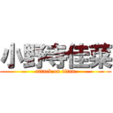 小野寺佳菜 (attack on titan)