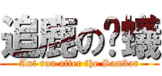 追鹿の螞蟻 (Ant run after the Sambar)