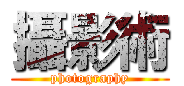 攝影術 (photography)
